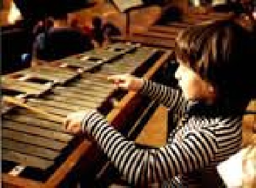 پیاده سازی الگوریتم جستجوی هارمونی (Harmony Search) در متلب